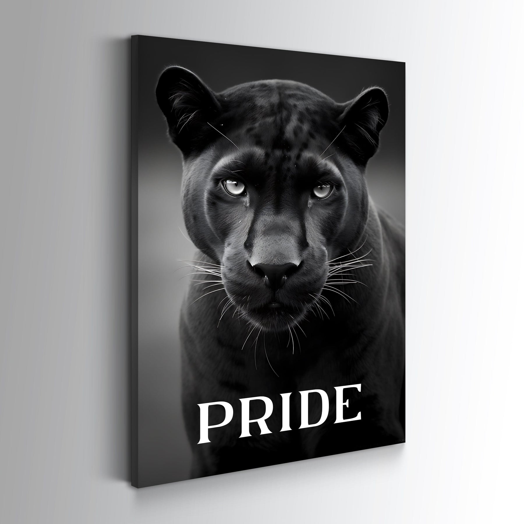 Pride Black Puma